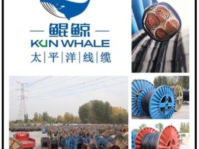 河南太平洋線纜國產電纜十大品牌排名