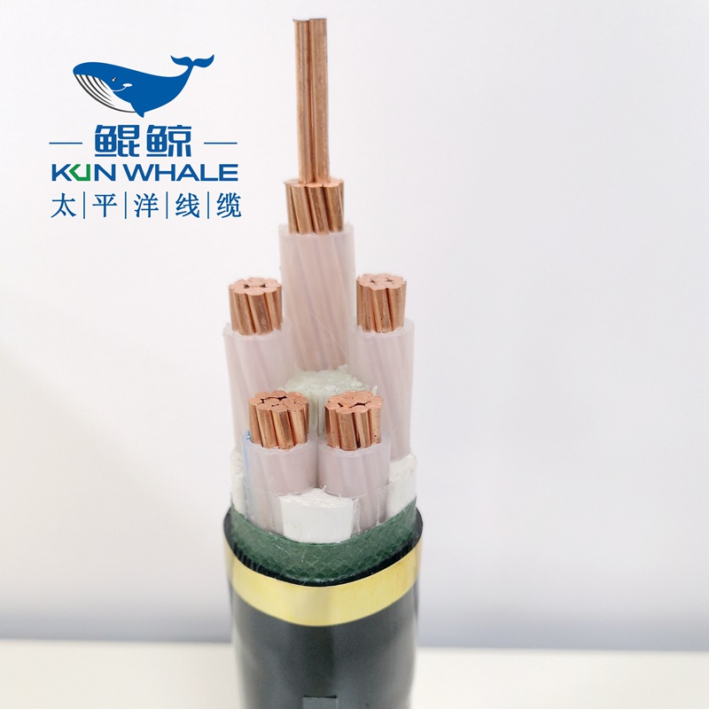 50平方低壓電力電纜，低壓電纜，電力電纜-河南太平洋線纜
