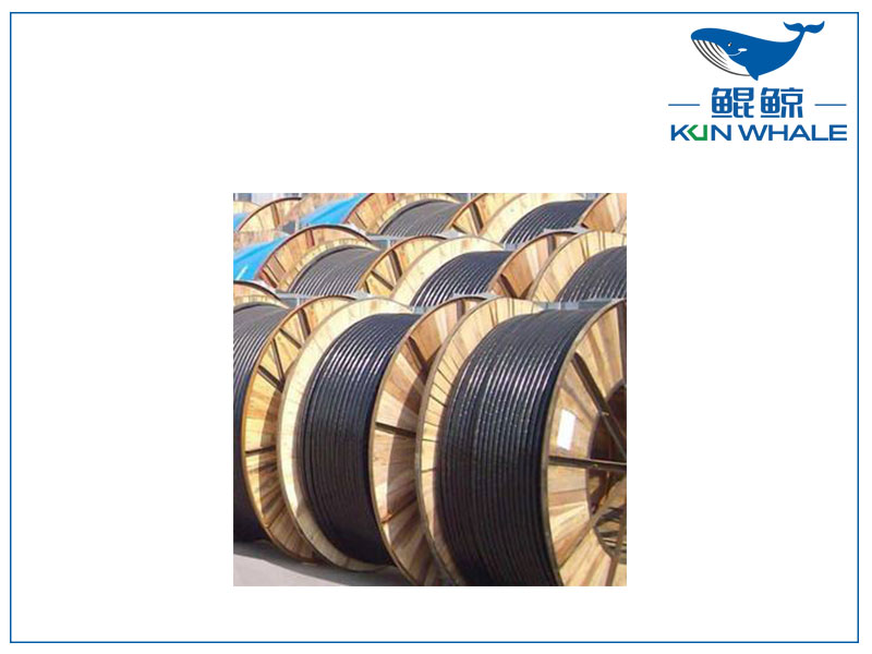 河南太平洋電纜廠，電線電纜，硅橡膠高壓線纜