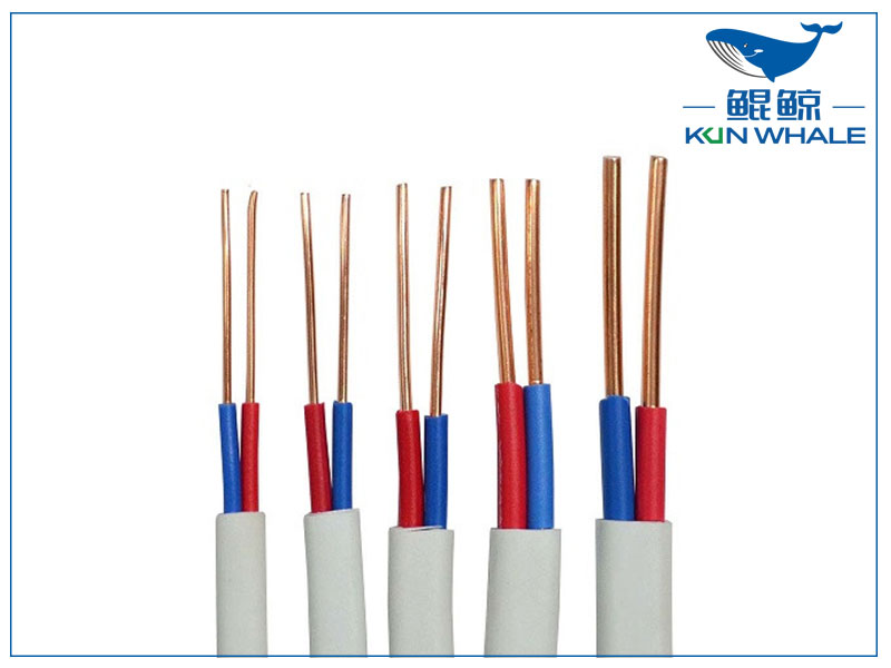 河南太平洋線纜帶你了解什么是<i style='color:red'>bvvb</i>電線？